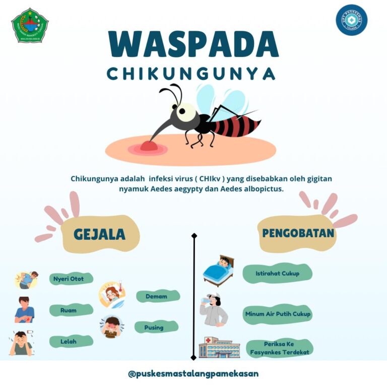 Waspada Chikungunya
